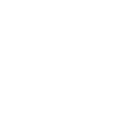 ShinobiVideos Logo
