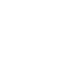 ShinobiVideos Logo